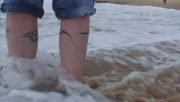 Tidal Walk